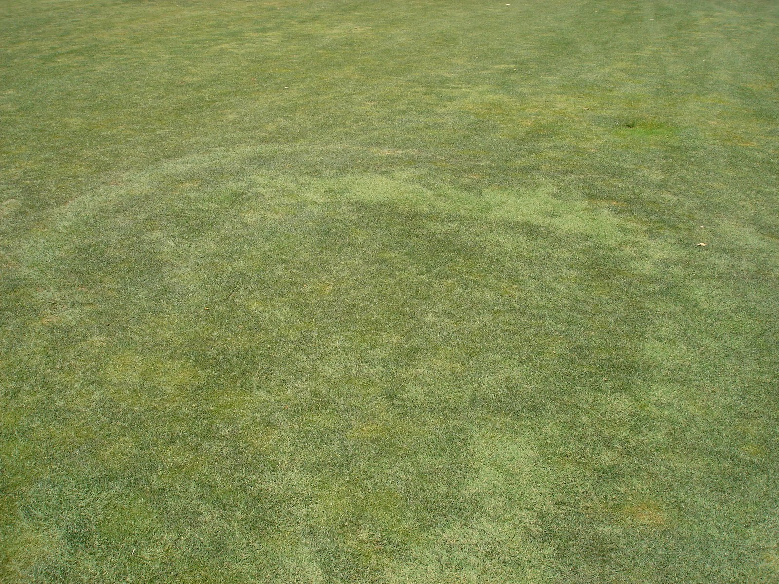 Stockton Golf & CC Turf Page Fairy Ring Followup