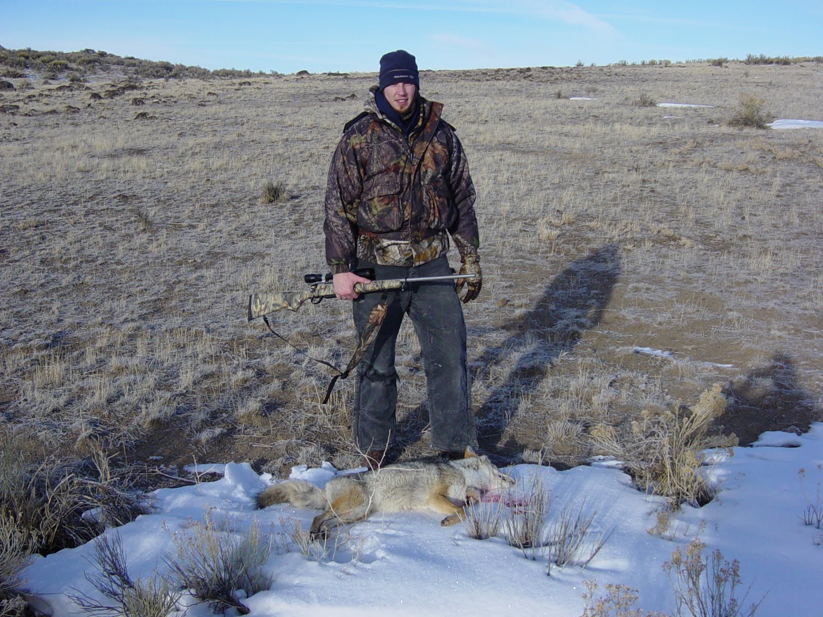 Hunting Idaho Coyote Hunting Idaho, South Of Mountain Home Idaho