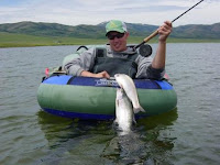 Fly Fish Idaho Rainbow, Brooke, Brown, Trout: Chesterfield Res. HOGS ...