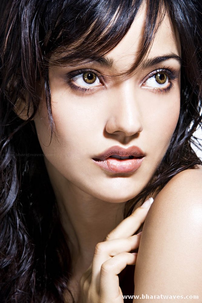 Celebrities Models Actress wallpapers: Neha Sharma