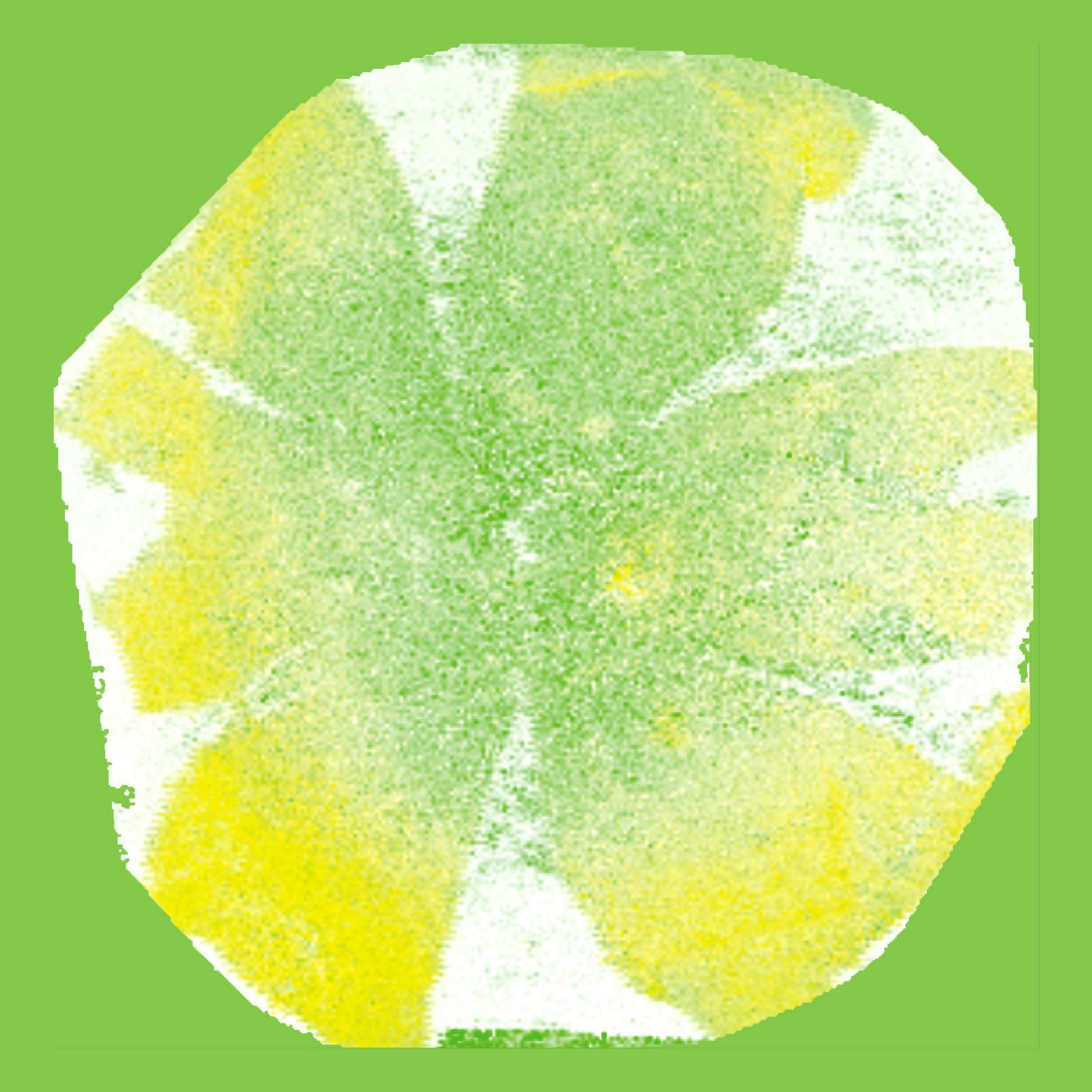 [yellowgreen+copy.jpg]