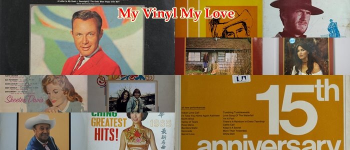 My Vinyl My Love