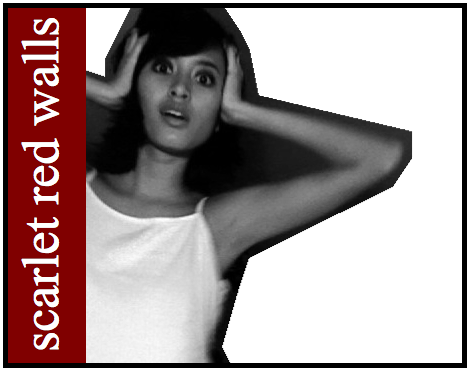 scarlet red walls
