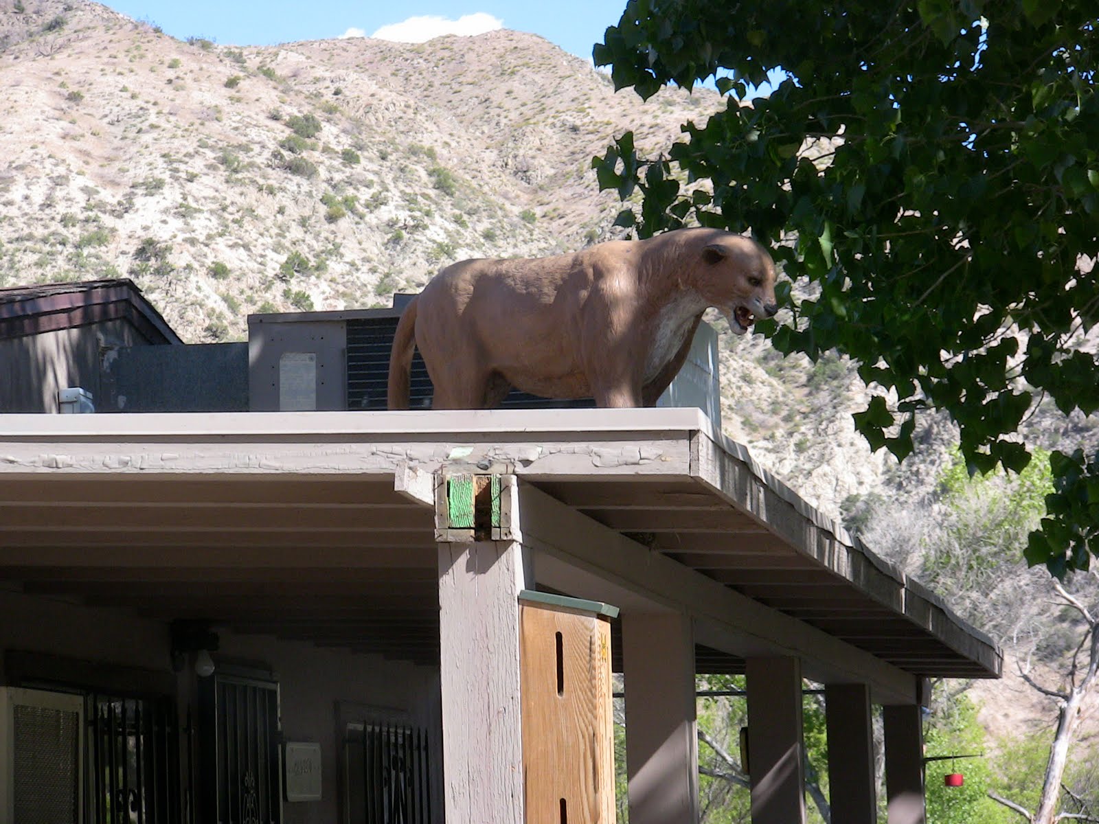 30 Things in 30 Days photo diary Nature Preserve Morongo Valley