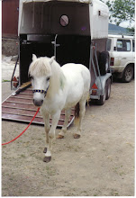 Our first pony Sparky