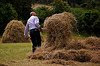 Saving hay