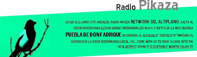 Radio Pikaza Online