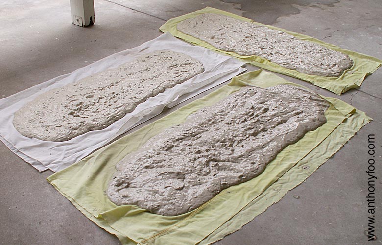 Anthony Foo Paper clay Forever