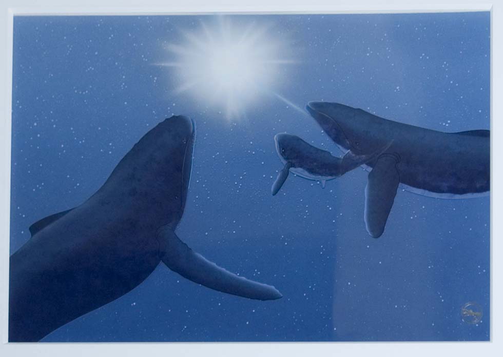 Classy With a Touch of Sleaze Top 5 Awesome Movie Whales