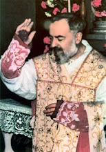 Santo Padre Pio te amo con todo mi corazon. Ruega por todos nosotros