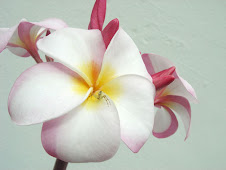 Frangipani, another one