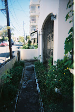 TOKEN GUERRILLA GARDENING