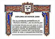 Diploma de honor 2009