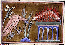 Medieval Bestiary