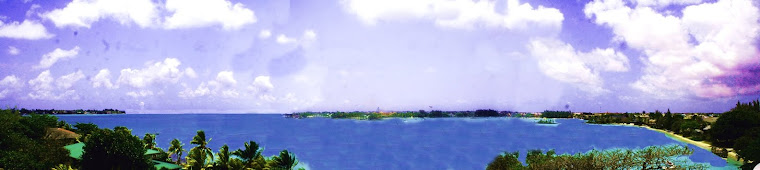 VISTA DAL TERRAZO DEL NOSTRO HOTEL