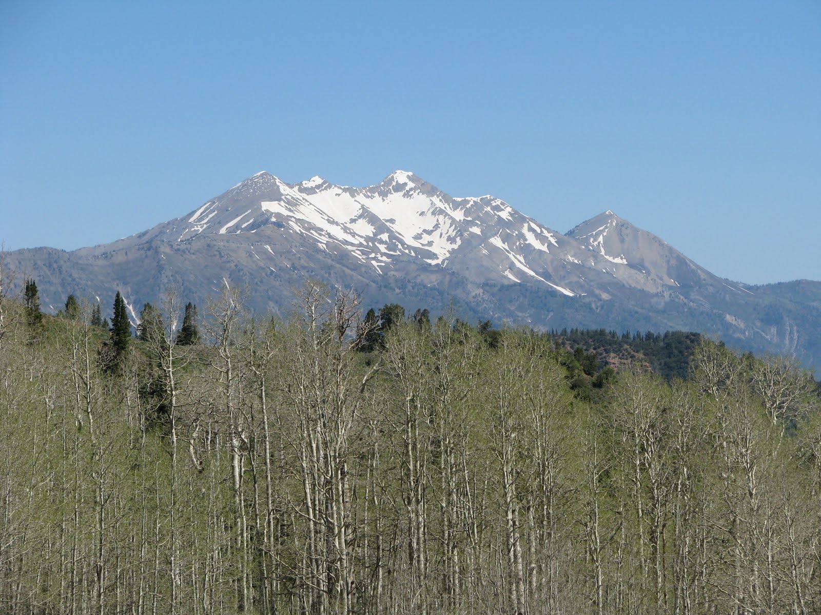 June 619, 2010 Mt. Pleasant, UT