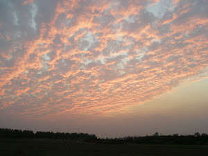 Moshav sunset (November 2007)