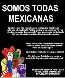 Luta lésbica-feminista no México