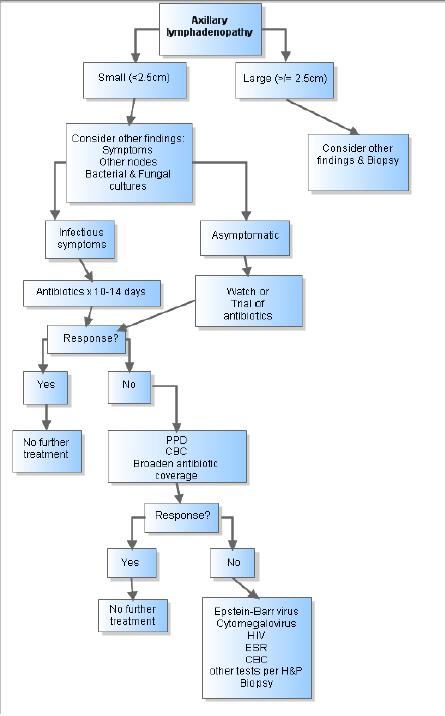 Astute observation meaning picture