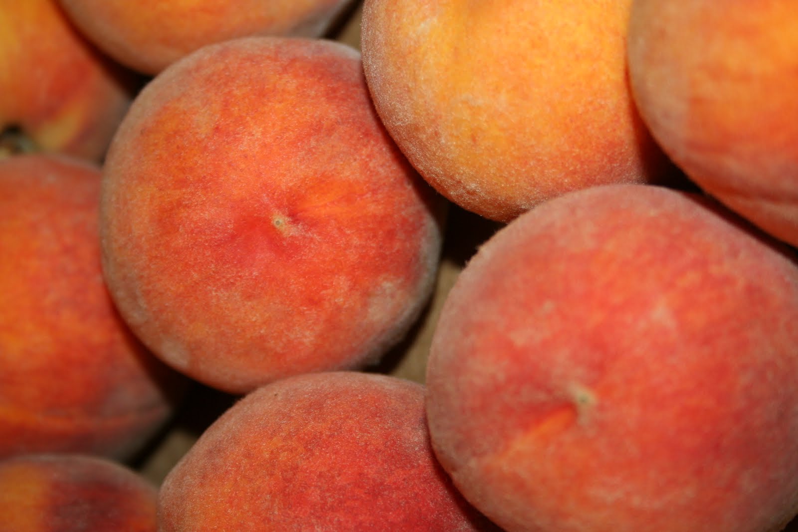 Eileen Bakes Peaches, Peaches, Peaches