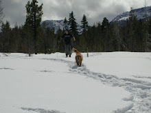 Dad and I were exploring....near Lake Tahoe