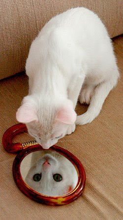 Amontonador urgente de palabras: FRAGMENTOS DE POESÍA