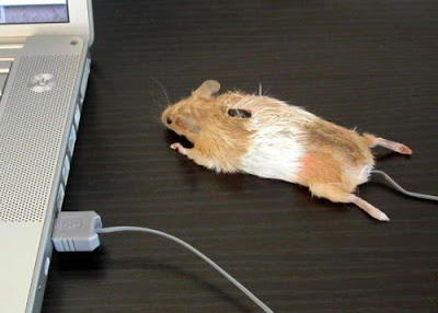 Cara Membuat Mouse Komputer Sendiri