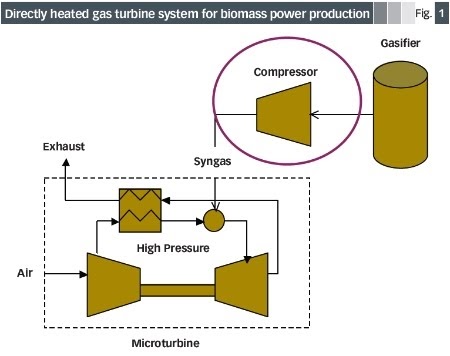 biomassa di microturbines - jurnal secience