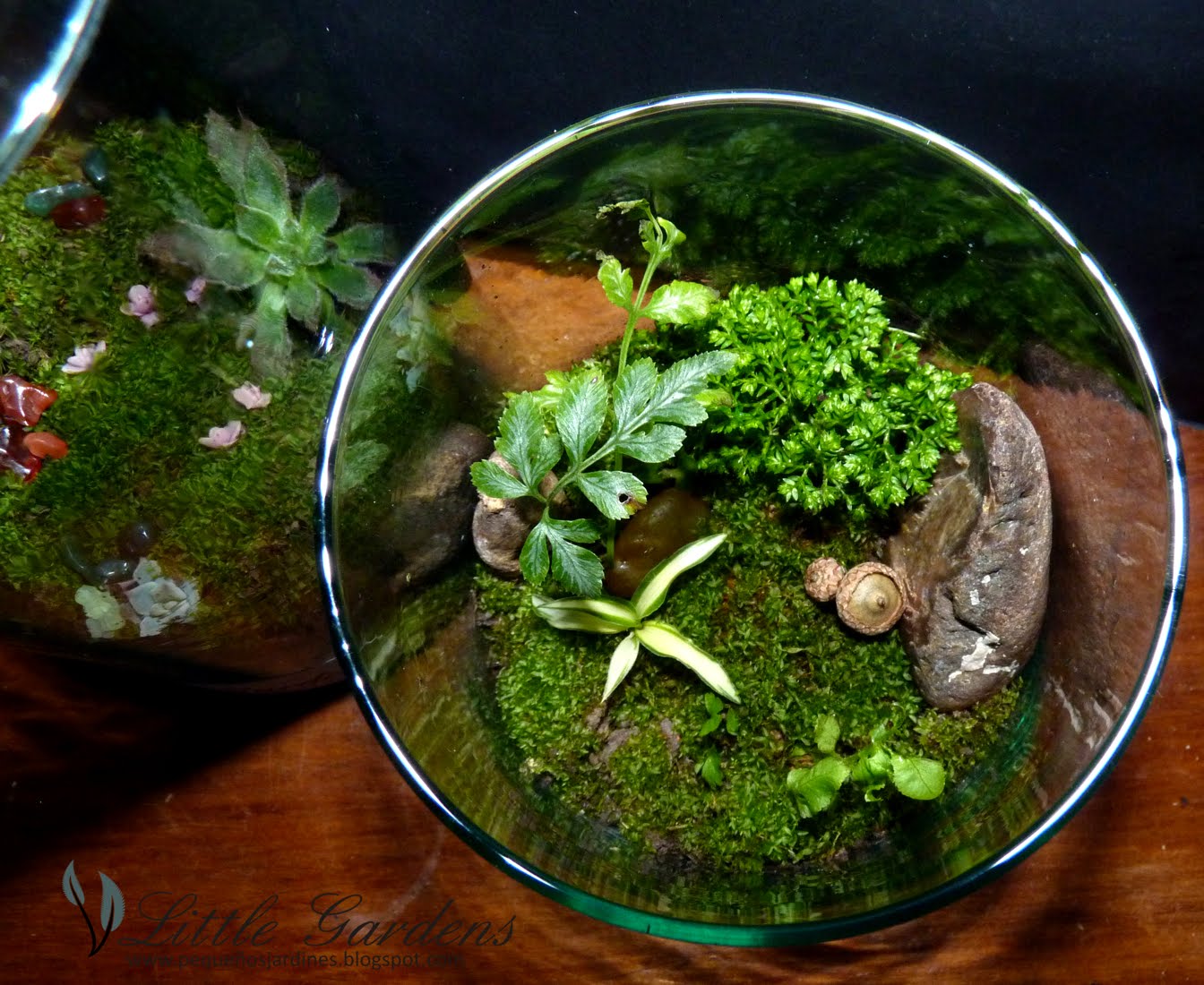 Pequeños Jardines