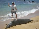 Monk Seal and Me...