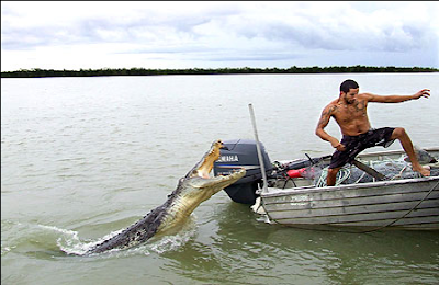 pictures of Crocodiles attack people
