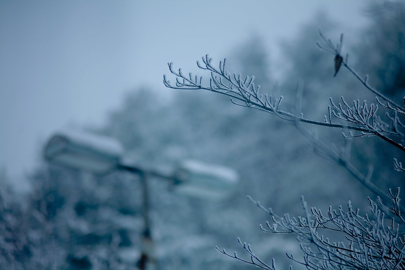 [IMG_2489-001.jpg]