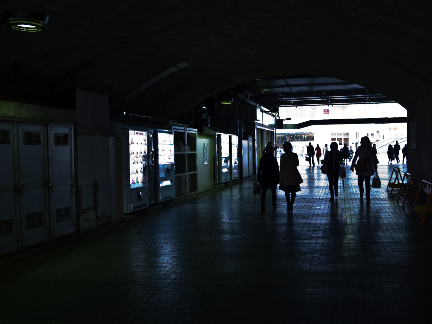 [R0010678-bc3.JPG]