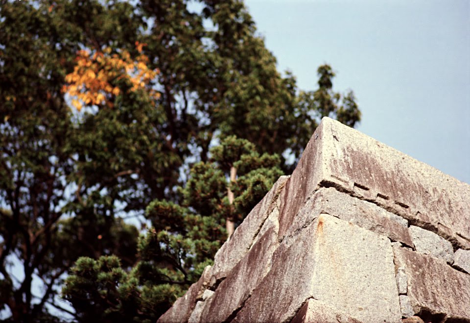 [1010-001.jpg]