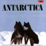 [antarctica+3.jpg]
