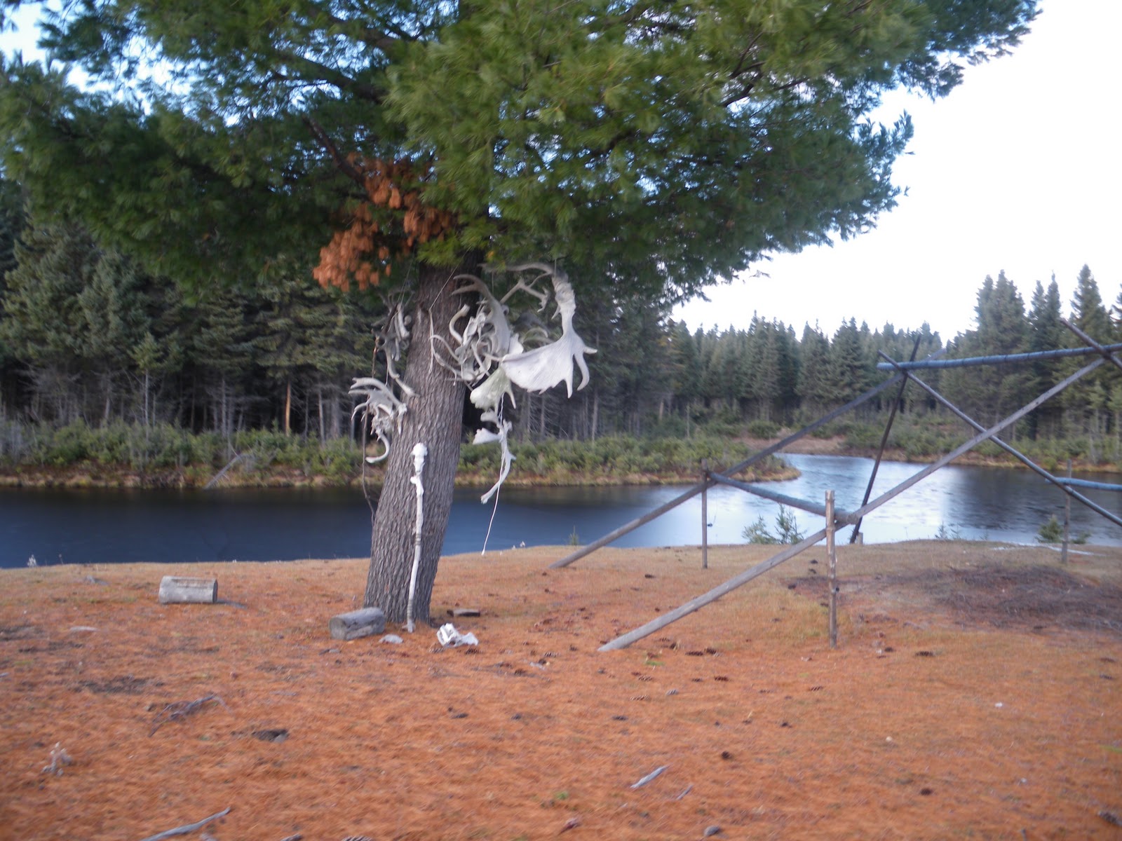 Léo et Guillaume au pays des cariboux 2 Zoo StFélicien Parc des
