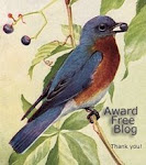 This is an award free, tag free blog.
