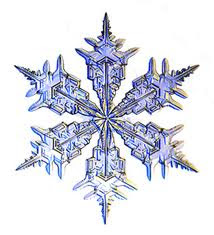 2015 Snowflakes = $300.00