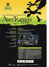 Curso Identificación y Conservación de Aves Rapaces de Chile