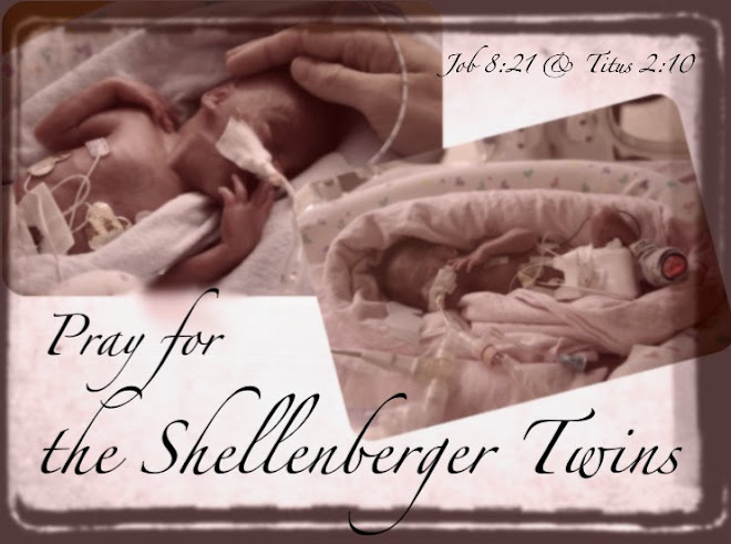 PRAY FOR THE SHELLENBERGER TWINS