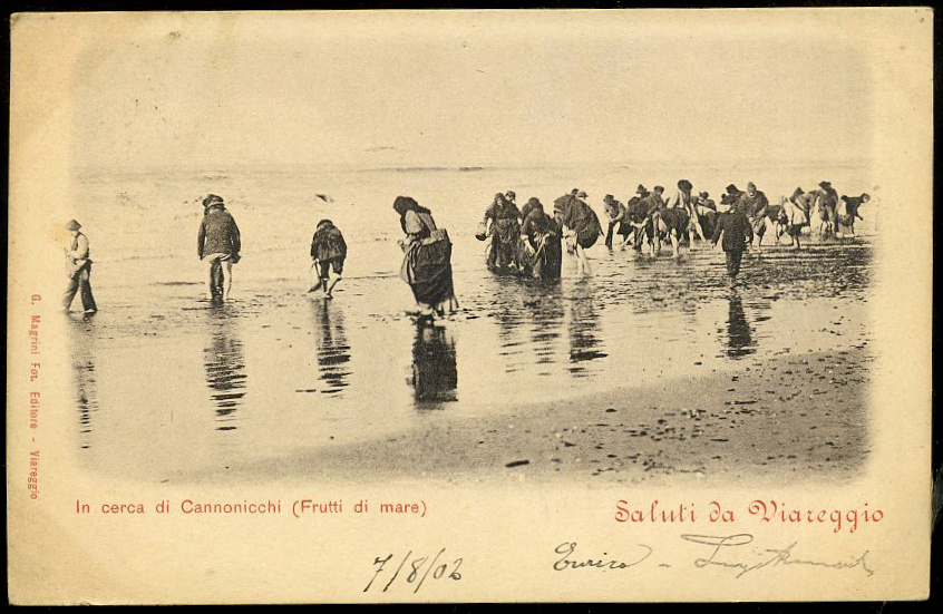 [vg1902+01.jpg]