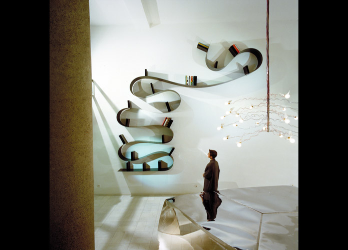 Aesthetic Designs of Our World Form and Function