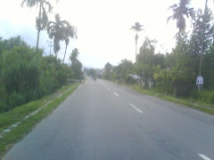 sepanjang jalan TANJUNG ARO II