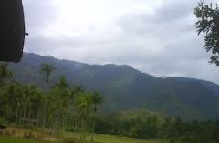 DOLOK TANJUNG ARO II PASAMAN