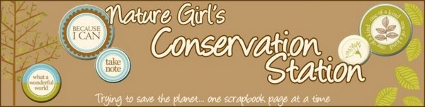 Nature Girl's Conservation Station