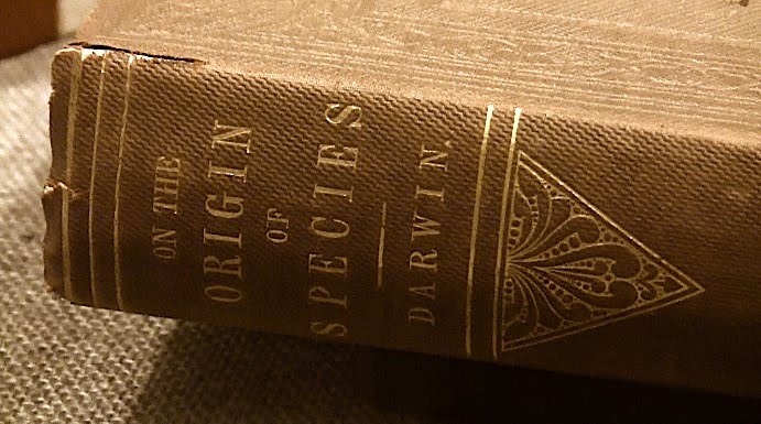 [origin-book-cclark.jpg]