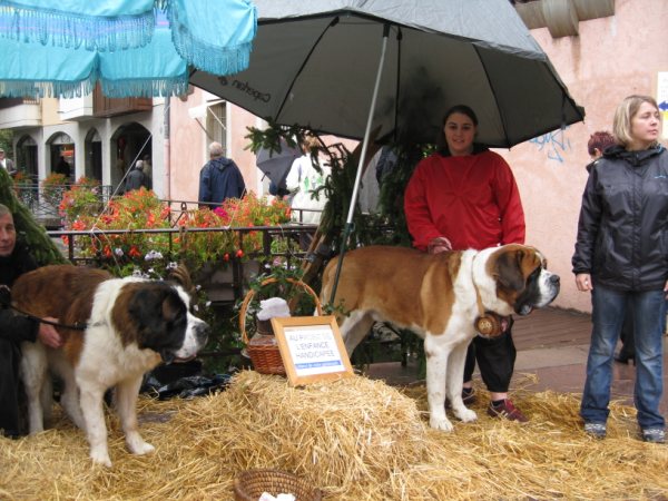 [IMG_0610.JPG]