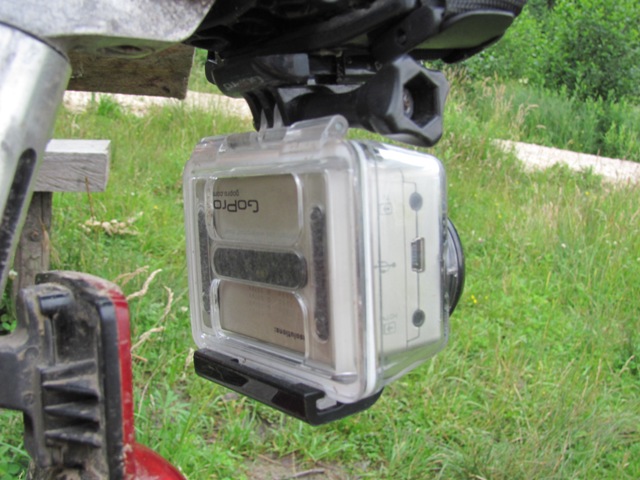 big cat long beach cruiser xl