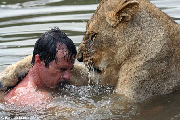 [Kevin+Richardson+Swim+With+Lioness-1.jpg]