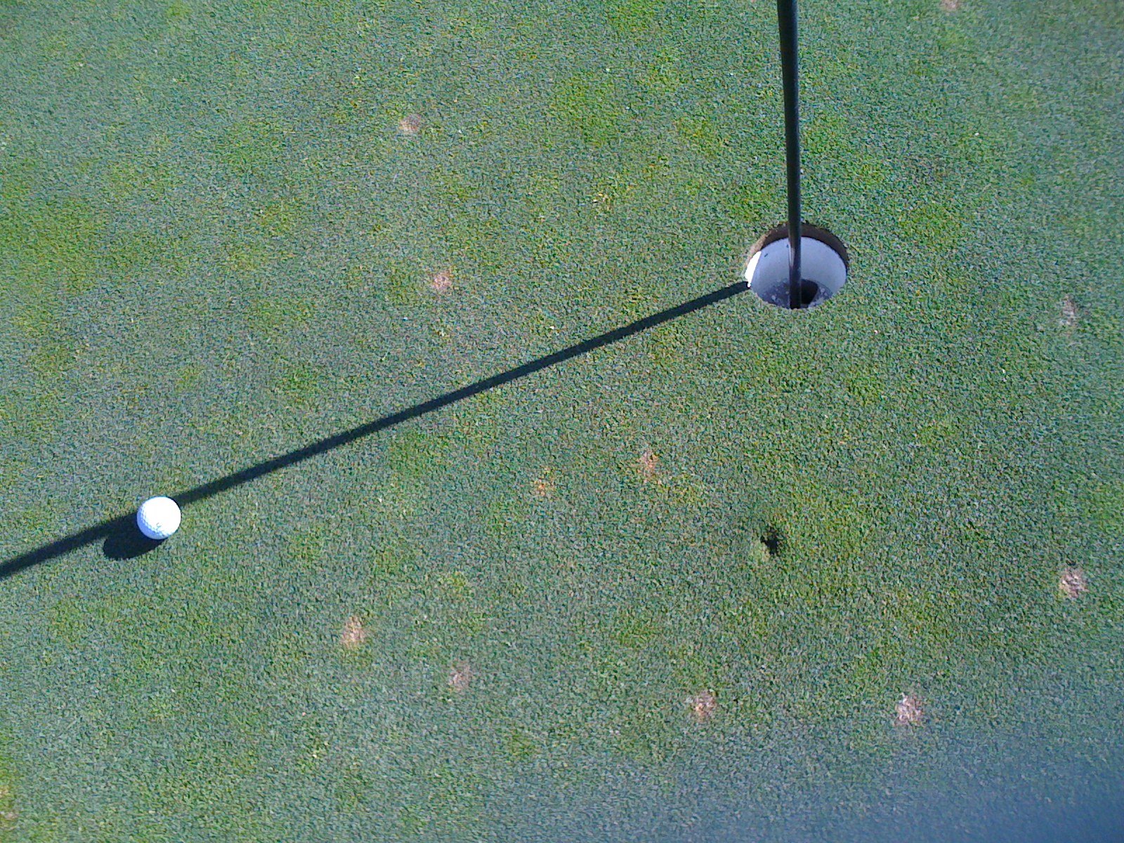 [Twin+Warrior+#11,+almost+eagle.JPG]